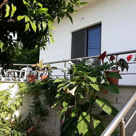 Alyvia Guesthouse شقة *